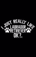 I Just Really Like Labrador Retriever Ok?: Cool Labrador Retriever Dog Journal Notebook - Labrador Retriever Puppy Lover Gifts - Funny Labrador Retriever Dog Notebook - Labrador Retriever Own
