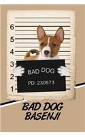 Bad Dog Basenji