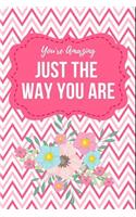 You're Amazing Just the Way You Are: March 20th International Day of Happiness Compliment Notebook: This Is a 6x9 100 Page Journal. Makes a Great Happiness Pledge Diary for Men or Women