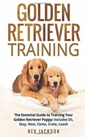 Golden Retriever Training