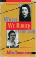 Where We Buried the Sun