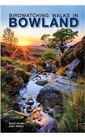 Birdwatching Walks in Bowland
