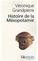 Histoire de La Mesopotamie