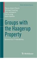 Groups with the Haagerup Property