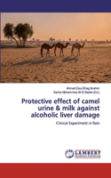 Protective effect of camel urine & milk against alcoholic liver damage