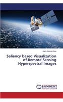 Saliency based Visualization of Remote Sensing Hyperspectral Images