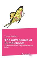 The Adventures of Bumbleboots: An Adventure of a Tiny Woodland Pan Seller