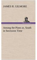 Among the Pines or, South in Secession Time