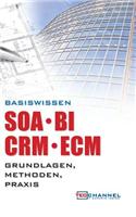 Basiswissen Soa - Bi - Crm - Ecm