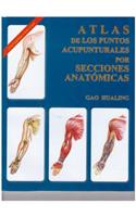 Atlas de Los Puntos Acupnturales Por Secciones Anatomicas