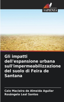 Gli impatti dell'espansione urbana sull'impermeabilizzazione del suolo di Feira de Santana