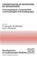 Cardiovascular Diagnosis by Ultrasound