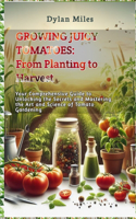 Growing Juicy Tomatoes