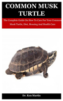 Common Musk Turtle