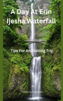 A Day At Erin Ijesha Waterfall