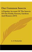 Our Common Insects