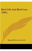 Bird Life And Bird Lore (1905)
