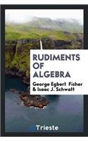 Rudiments of Algebra