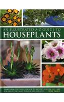 An Illustrated A-Z Guide to Houseplants: Everything You Need to Know to Identify, Choose and Care for 350 of the Most Popular Houseplants