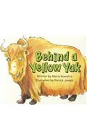 Behind a Yellow Yak