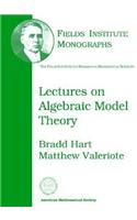 Lectures on Algebraic Model Theory