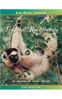 The Secrets of Tropical Rainforests
