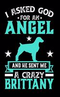 I Asked God For An Angel And He sent Me A Crazy brittany: Gifts for Dog Owners 100 page 6 x 9 Weekly journal to jot down your ideas and notes