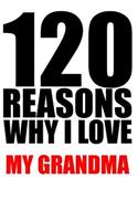 120 reasons why i love my grandma