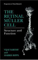 Retinal Muller Cell