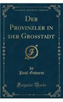 Der Provinzler in Der Grosstadt (Classic Reprint): (German)