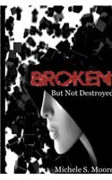 Broken But Not Destroyed