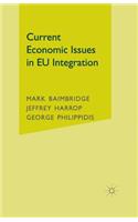 Current Economic Issues in Eu Integration