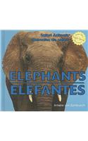 Elephants / Elefantes