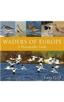 Waders of Europe