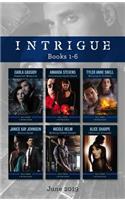 Intrigue Box Set 1-6/Desperate Measures/Incriminating Evidence/Reining in Trouble/Within Range/Wyoming Cowboy Ranger/Identical Stranger