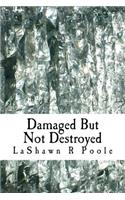 damaged but not destroyed: (English)