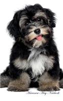 Havanese May Notebook Havanese Record, Log, Diary, Special Memories, To Do List, Academic Notepad, Scrapbook & More