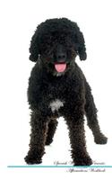 Spanish Water Dog Affirmations Workbook Spanish Water Dog Presents: Positive and Loving Affirmations Workbook. Includes: Mentoring Questions, Guidance, Supporting You.