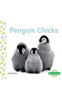 Penguin Chicks: (Baby Animals)
