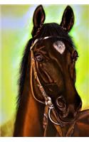 A Beautiful Horse Portrait Painting Journal