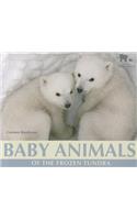 Baby Animals of the Frozen Tundra