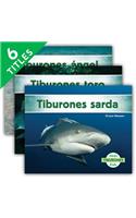 Tiburones Set 2 (Sharks) (Set)