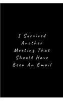 I Survived Another Meeting That Should Have Been An Email