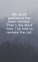 My email password has been hacked. That's the third time I've had to rename the cat.
