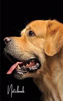Notebook: Unlined - Unruled - Plain Notebook - 130 Pages - Large Format 8.5 x 11 in - Workbook - Composition - Golden Retriever Cover Design - Made in The USA