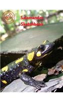 Salamander Sketchbook