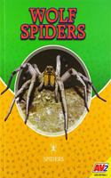 Wolf Spiders