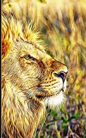 African Lion Notebook: Beautiful Lion on African Africa Wild Serengeti: Cornell Notes Paper, Blank Lined Notebook, Journal, Diary, Note Pad, Writing Notes: 120 Pages, Corn