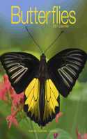 Butterflies 2021 Wall Calendar