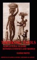Thinking Tools: Agricultural Slavery Between Evidence and Models (Bulletin Supplement)